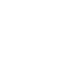 Lock Icon